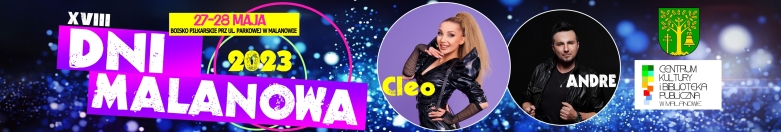 Baner na strone